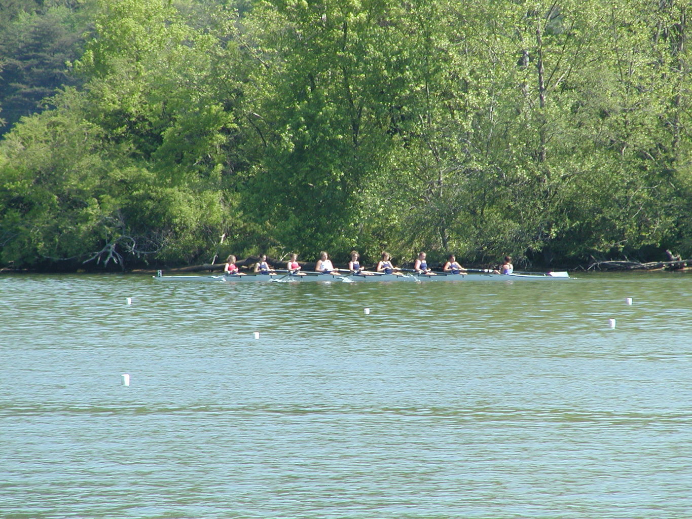 Bevin's Last Regatta
