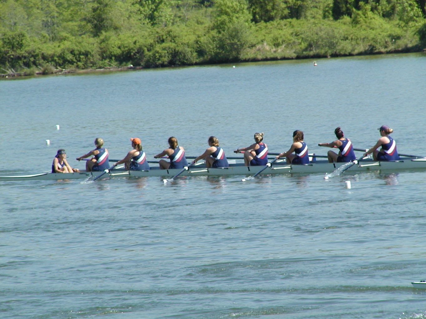 Bevin's Last Regatta
