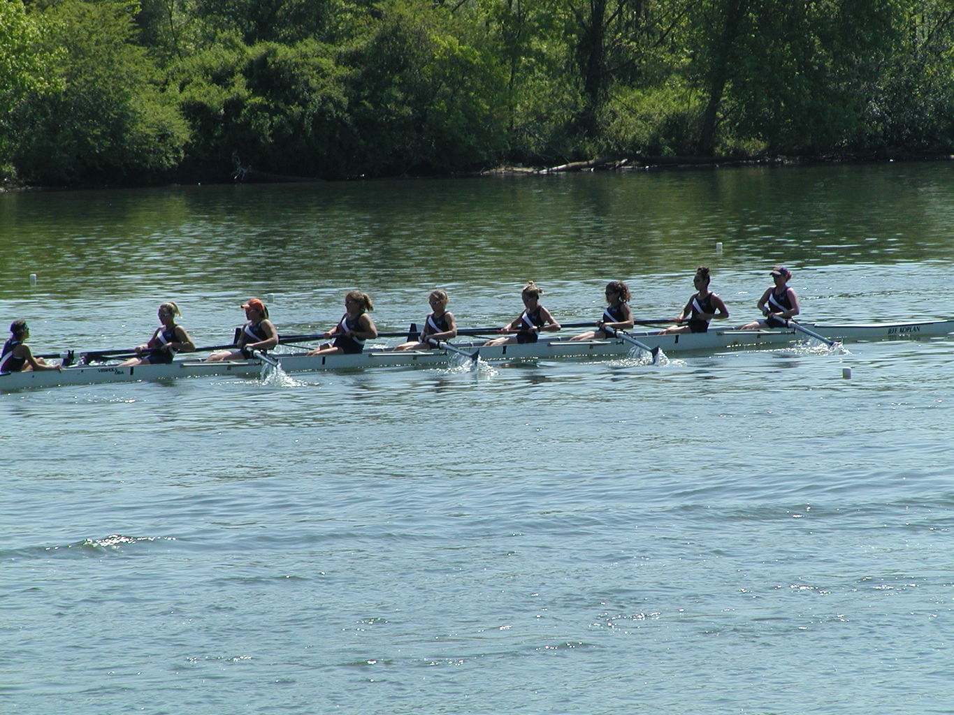 Bevin's Last Regatta
