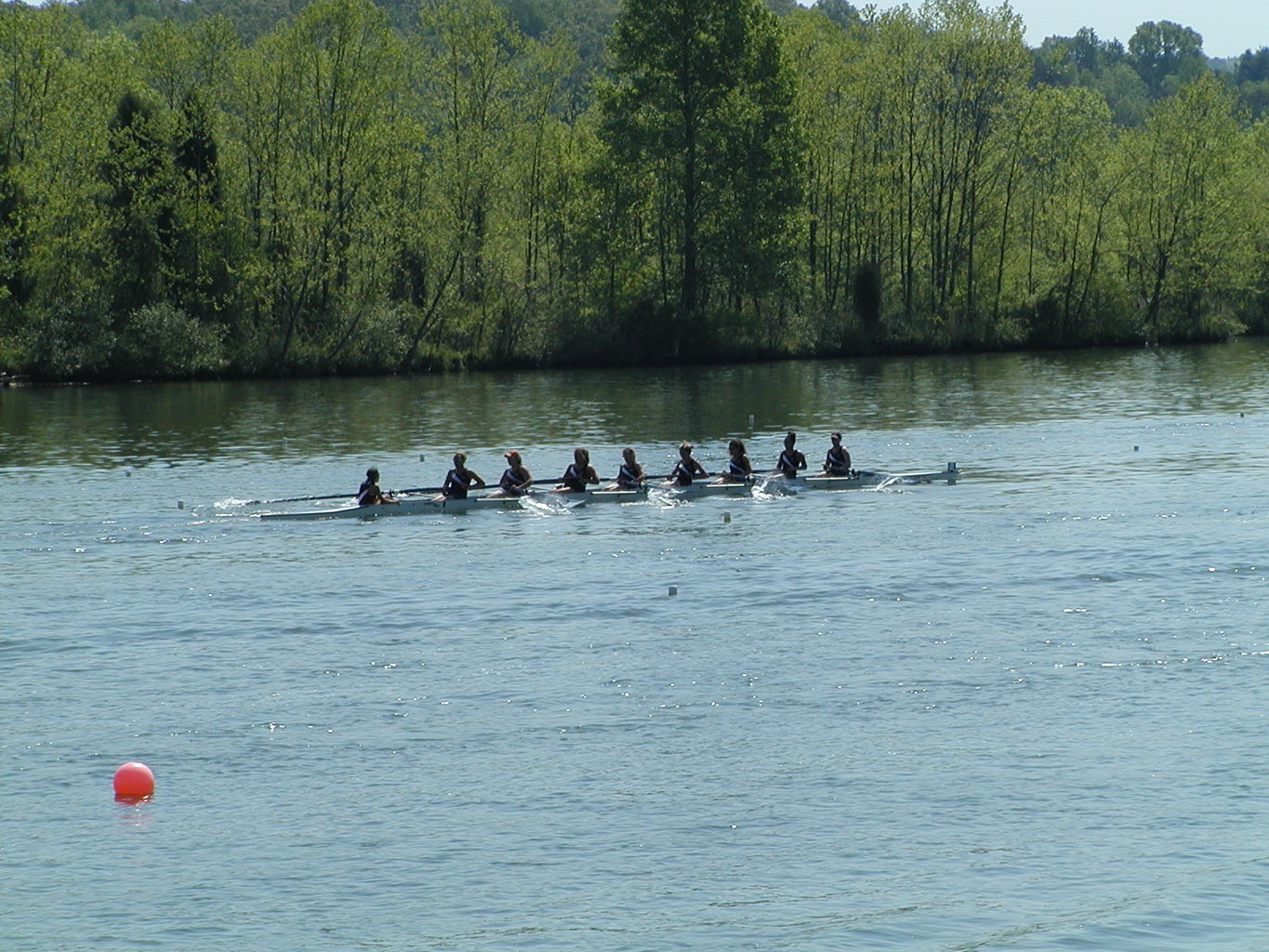 Bevin's Last Regatta
