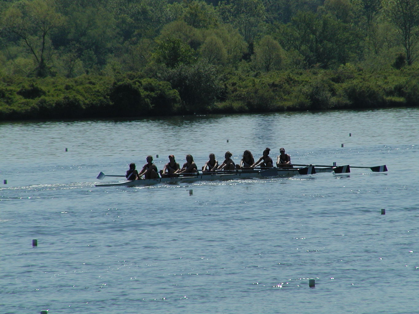 Bevin's Last Regatta
