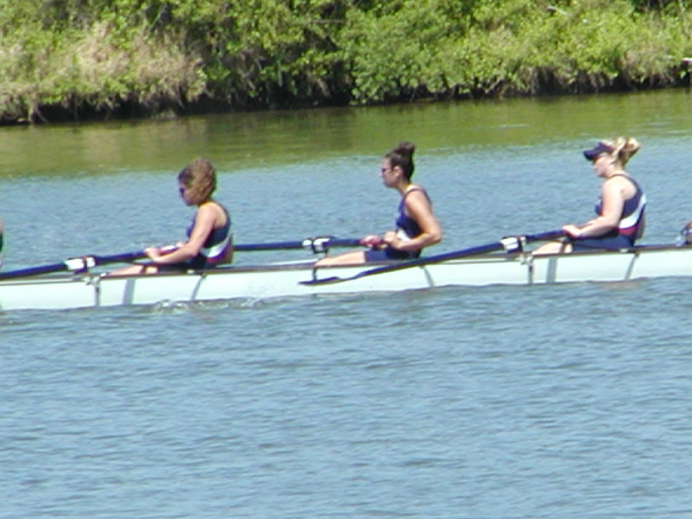 Bevin's Last Regatta
