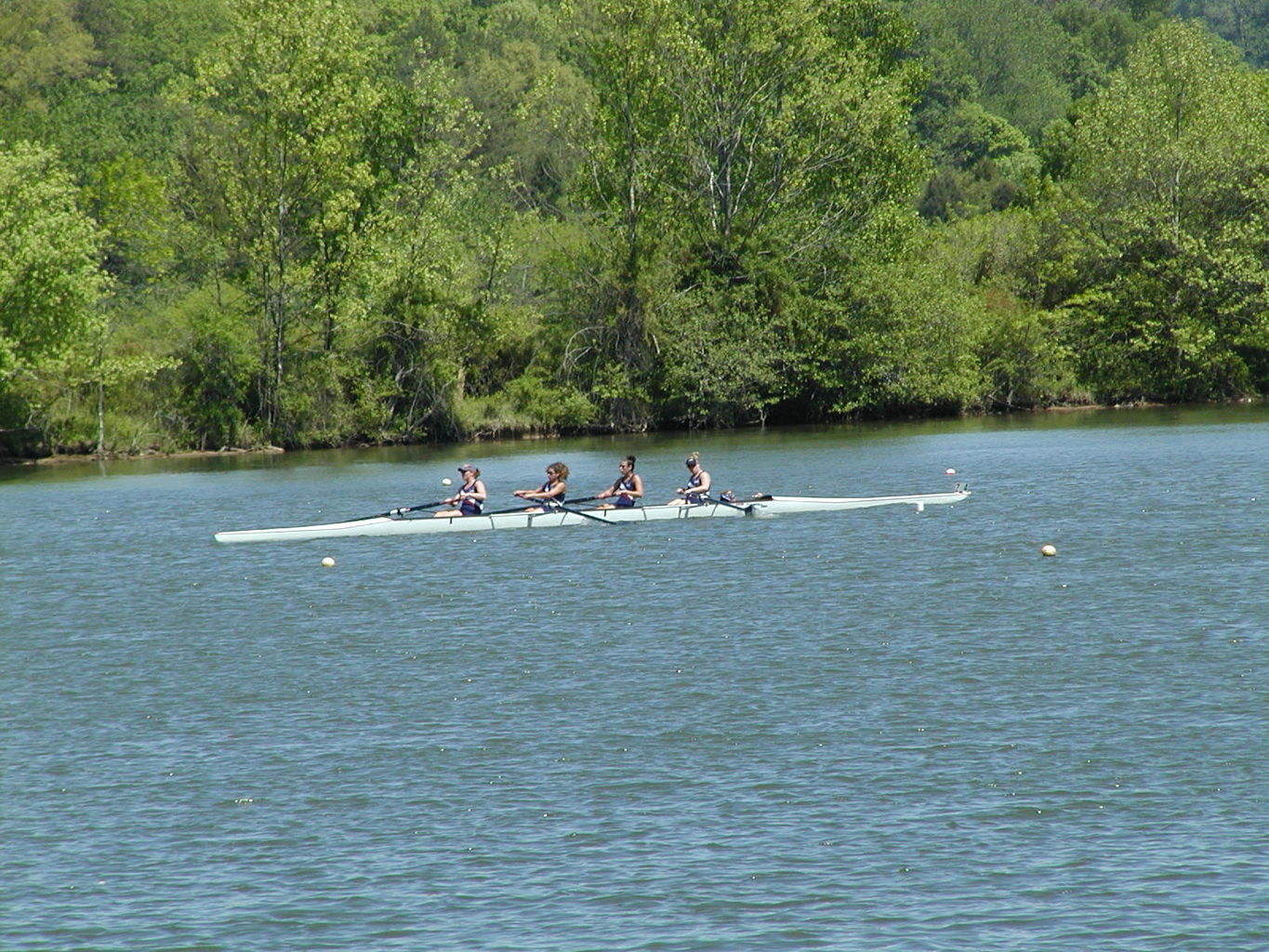 Bevin's Last Regatta
