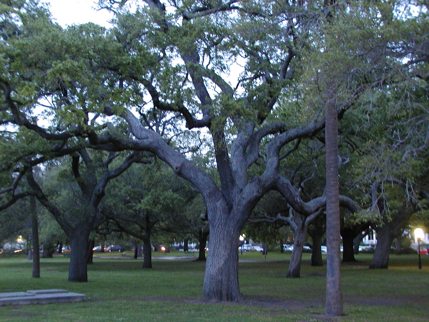 Charleston, South Carolina
