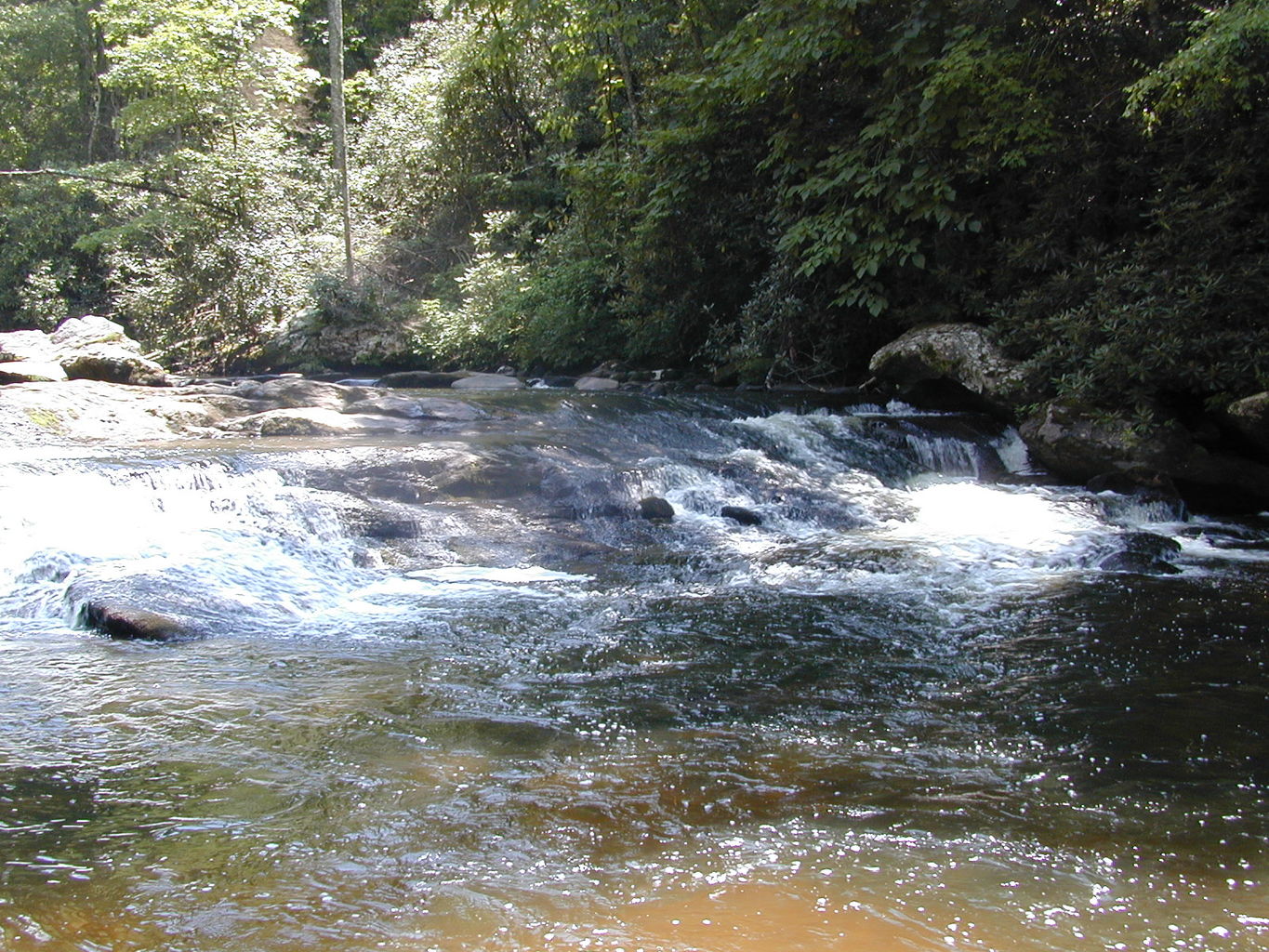 Vacation with Ryan and Crystal to Highlands, NC
