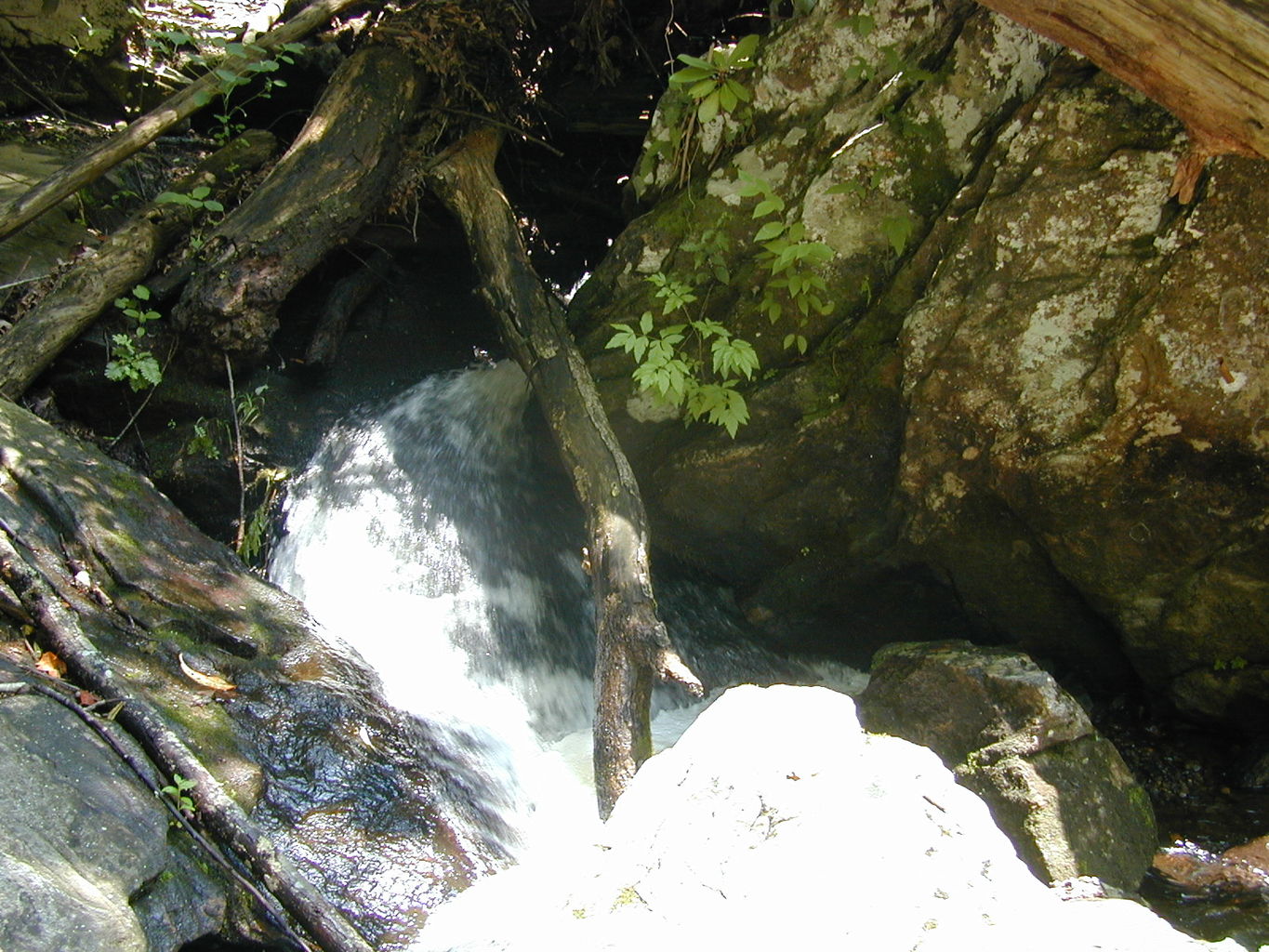 Vacation with Ryan and Crystal to Highlands, NC
