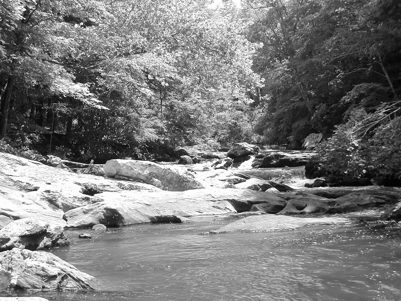 Vacation with Ryan and Crystal to Highlands, NC
