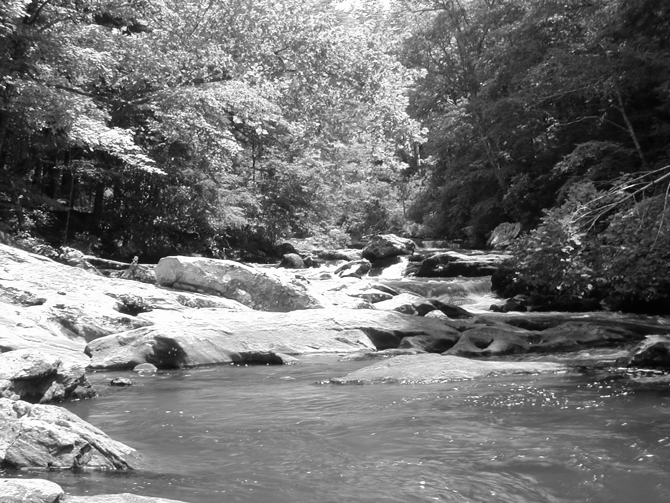 Vacation with Ryan and Crystal to Highlands, NC

