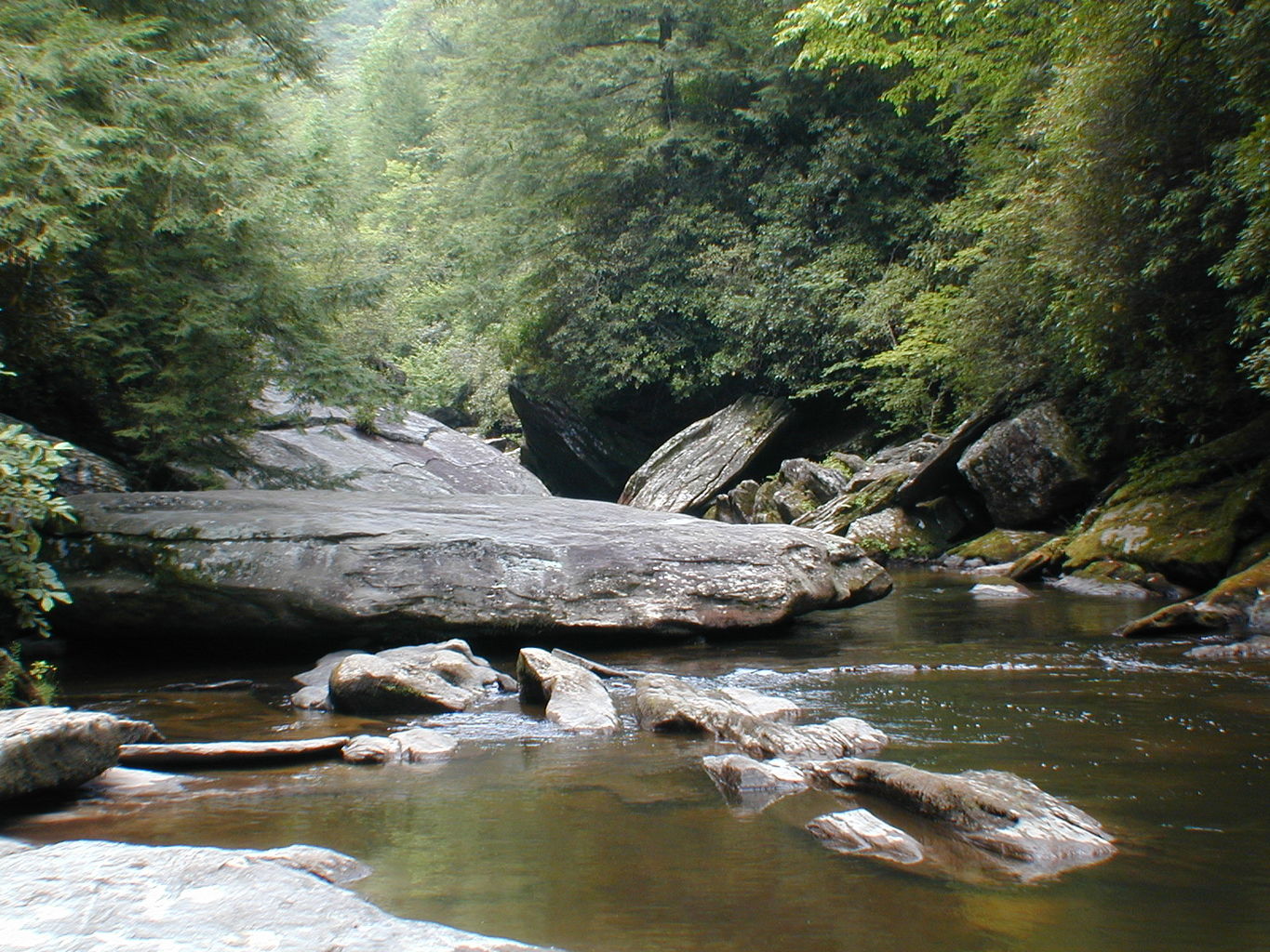 Vacation with Ryan and Crystal to Highlands, NC
