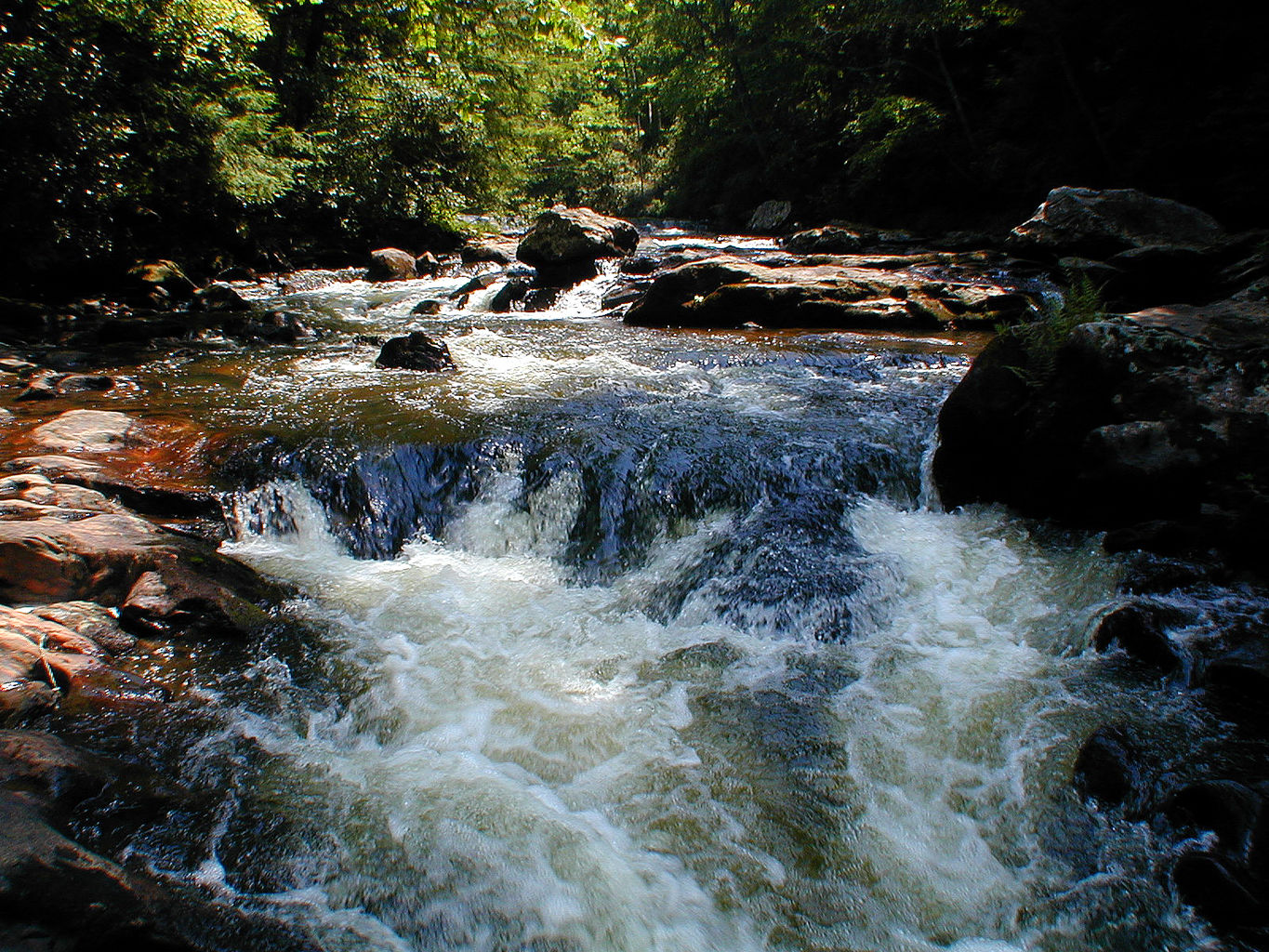 Vacation with Ryan and Crystal to Highlands, NC
