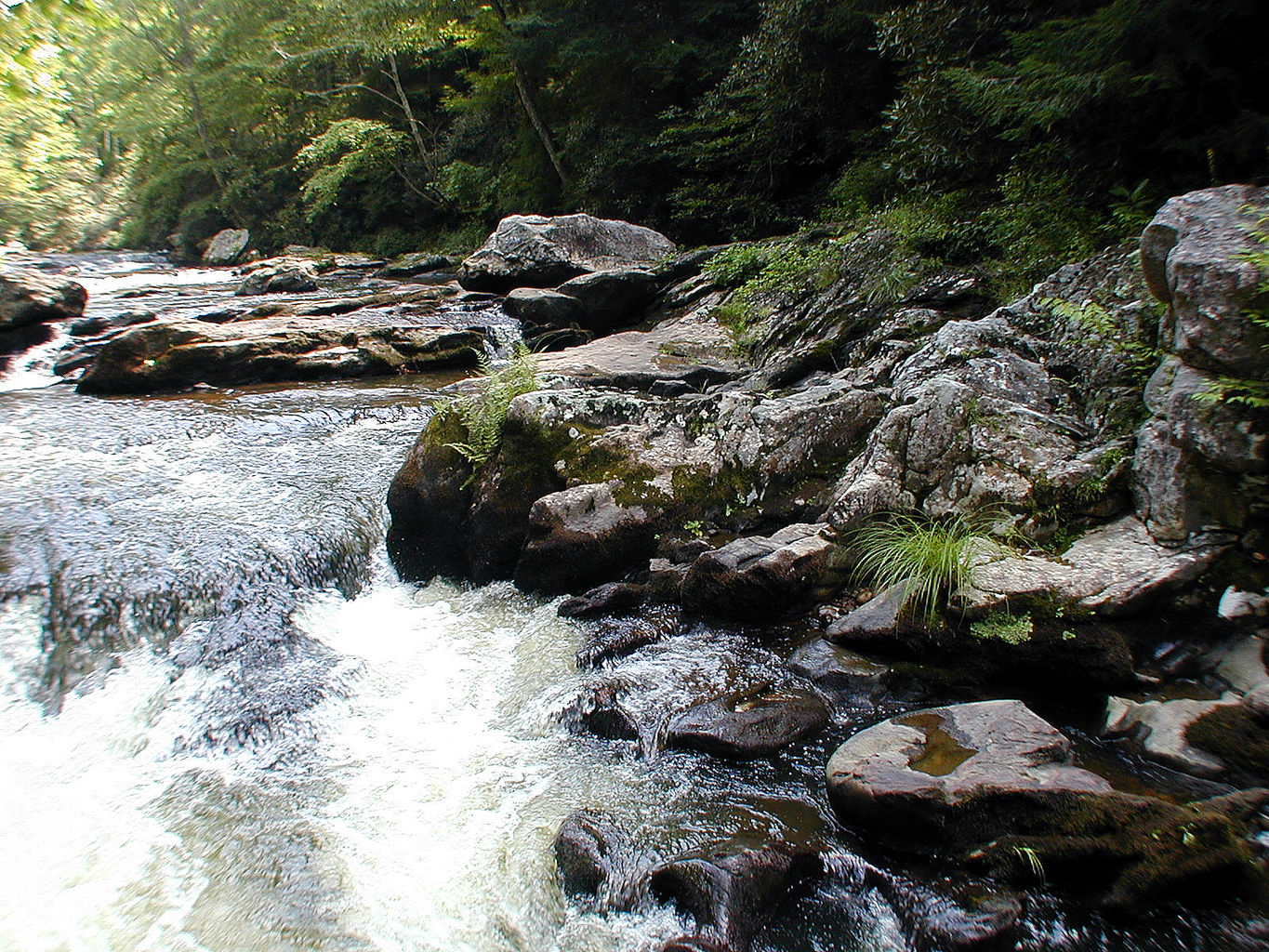 Vacation with Ryan and Crystal to Highlands, NC
