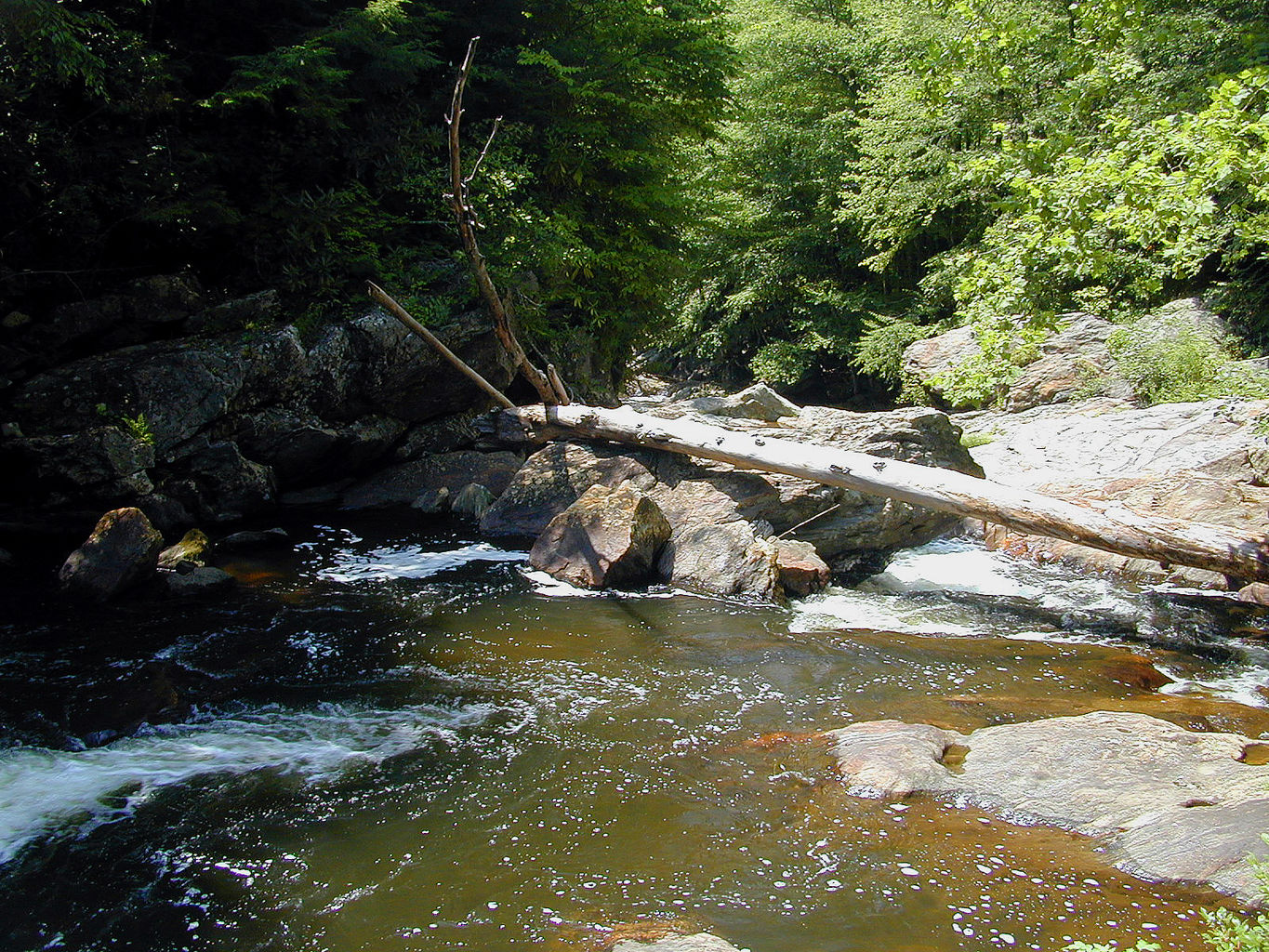 Vacation with Ryan and Crystal to Highlands, NC
