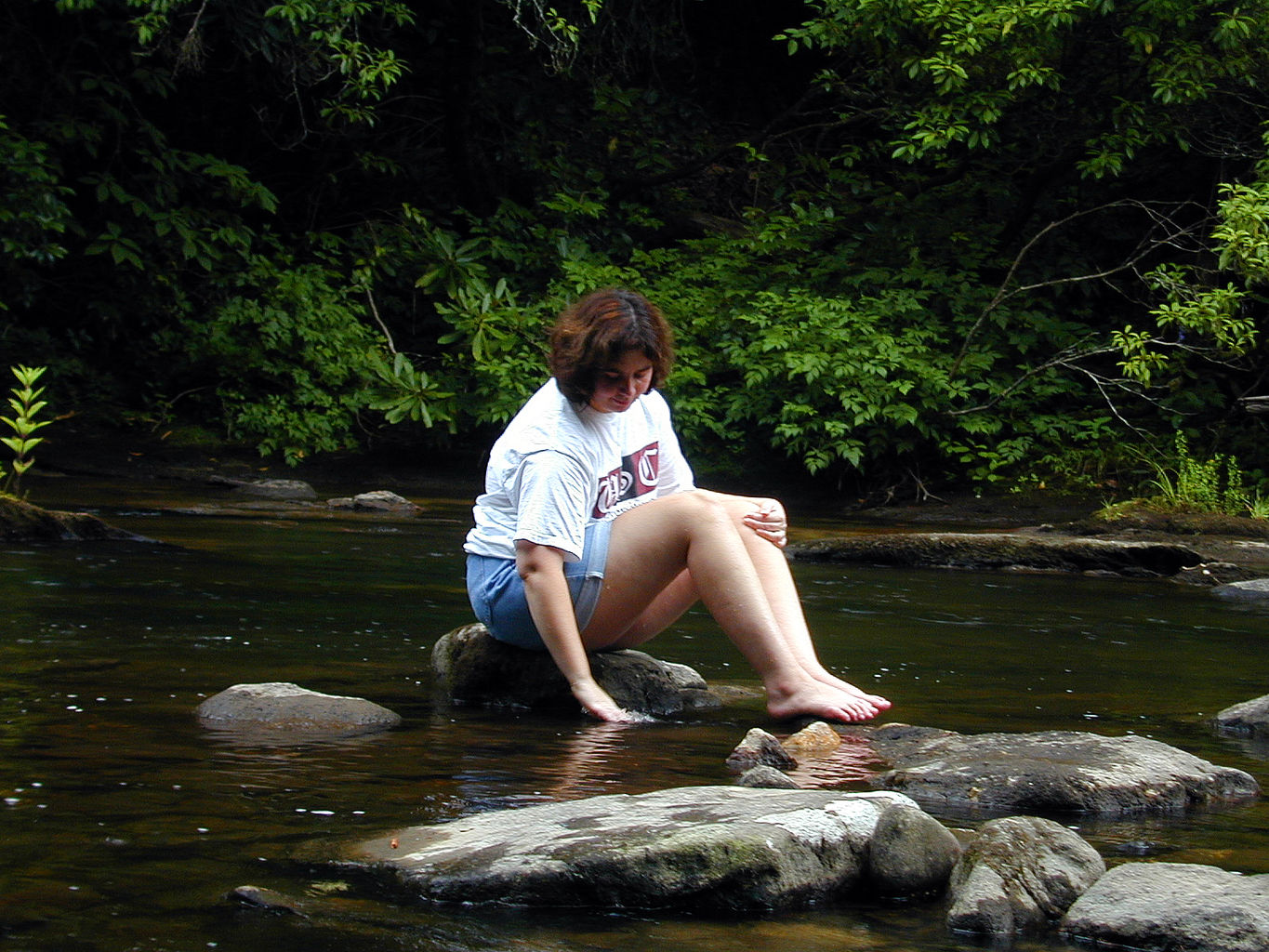 Vacation with Ryan and Crystal to Highlands, NC
