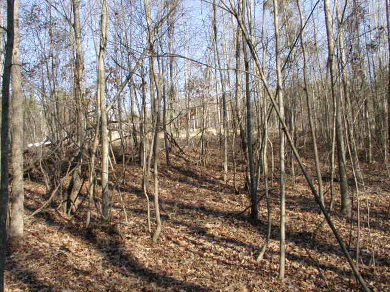 River Ridge
