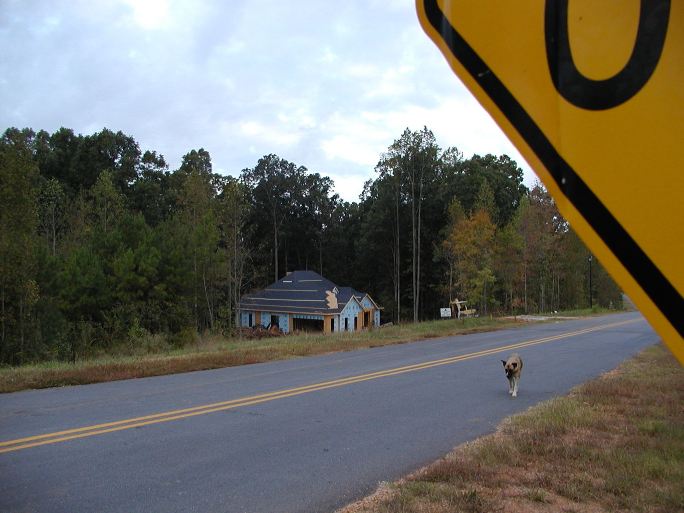 River Ridge - Street Sign Shots
