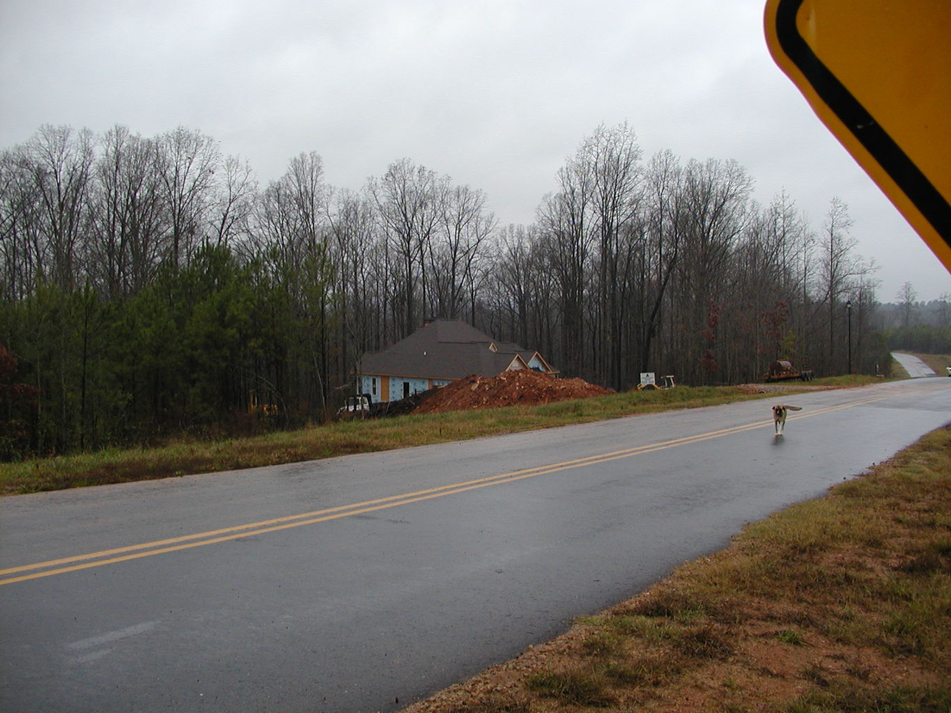 River Ridge - Street Sign Shots
