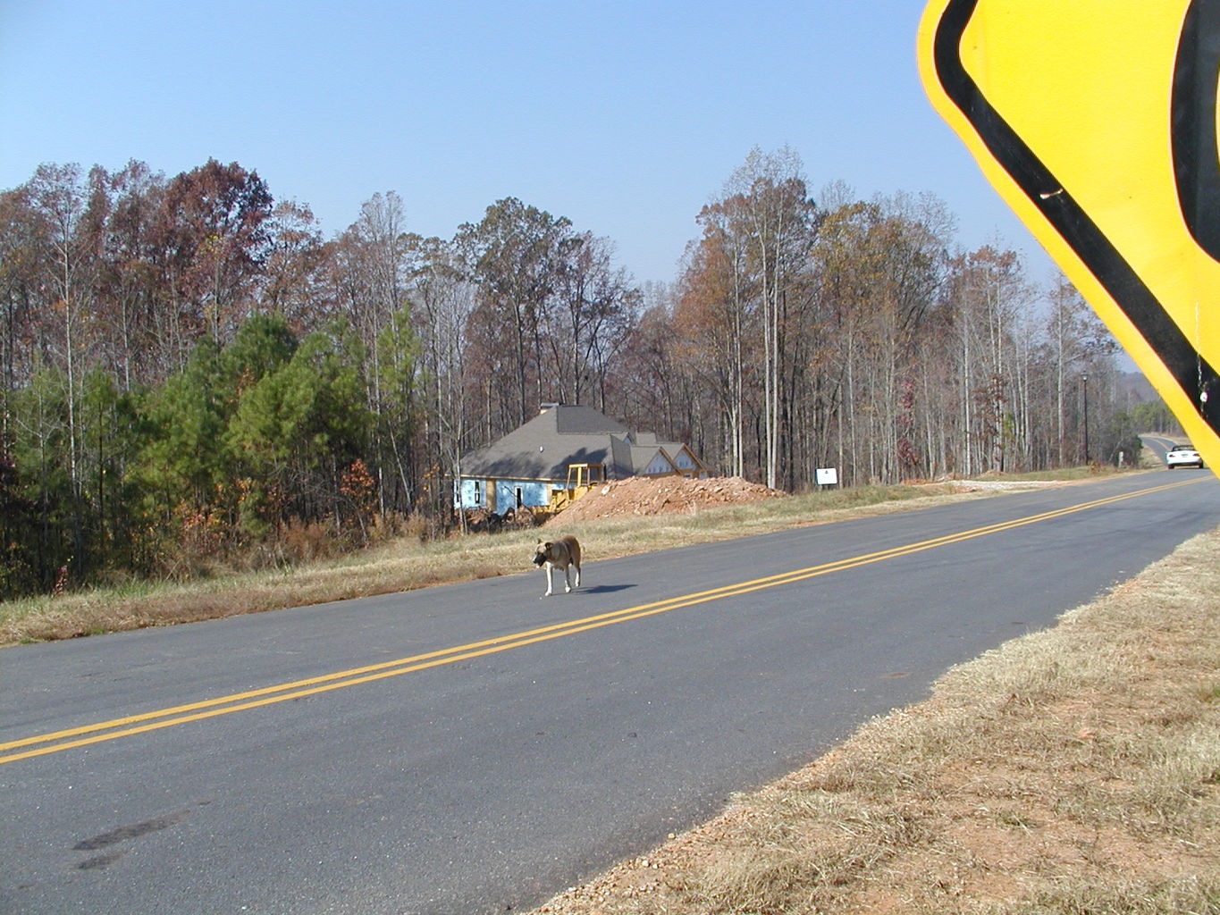 River Ridge - Street Sign Shots
