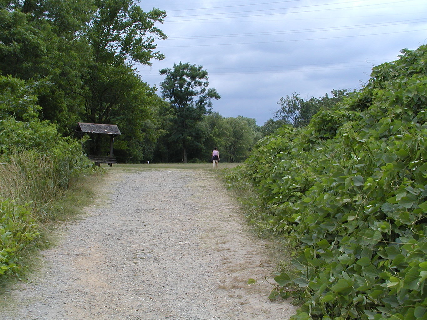 Buford Dam Park
