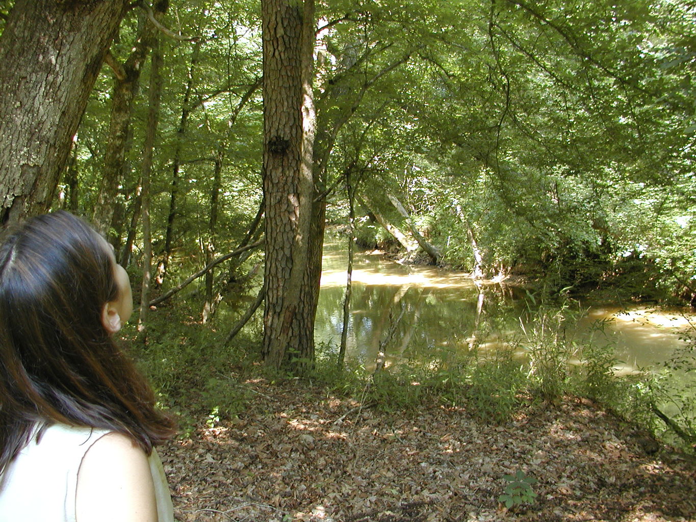 Hurricane Shoals Park
