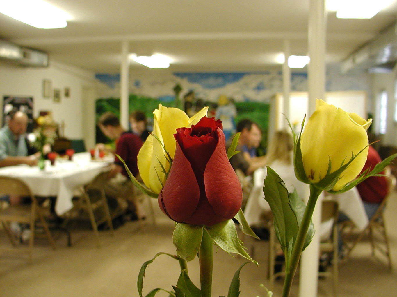 Jefferson Presbyterian Young Couples Dinner
