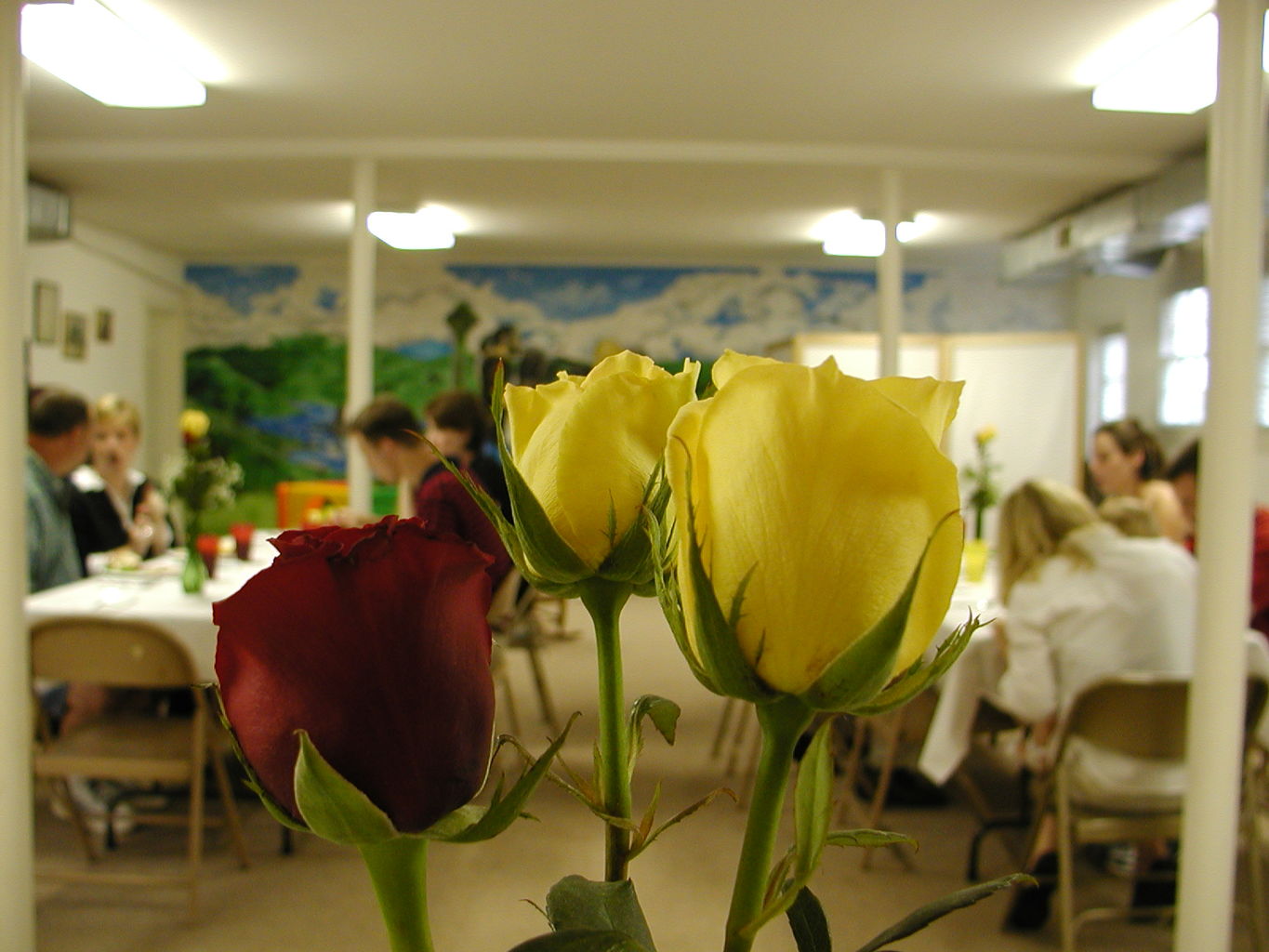 Jefferson Presbyterian Young Couples Dinner
