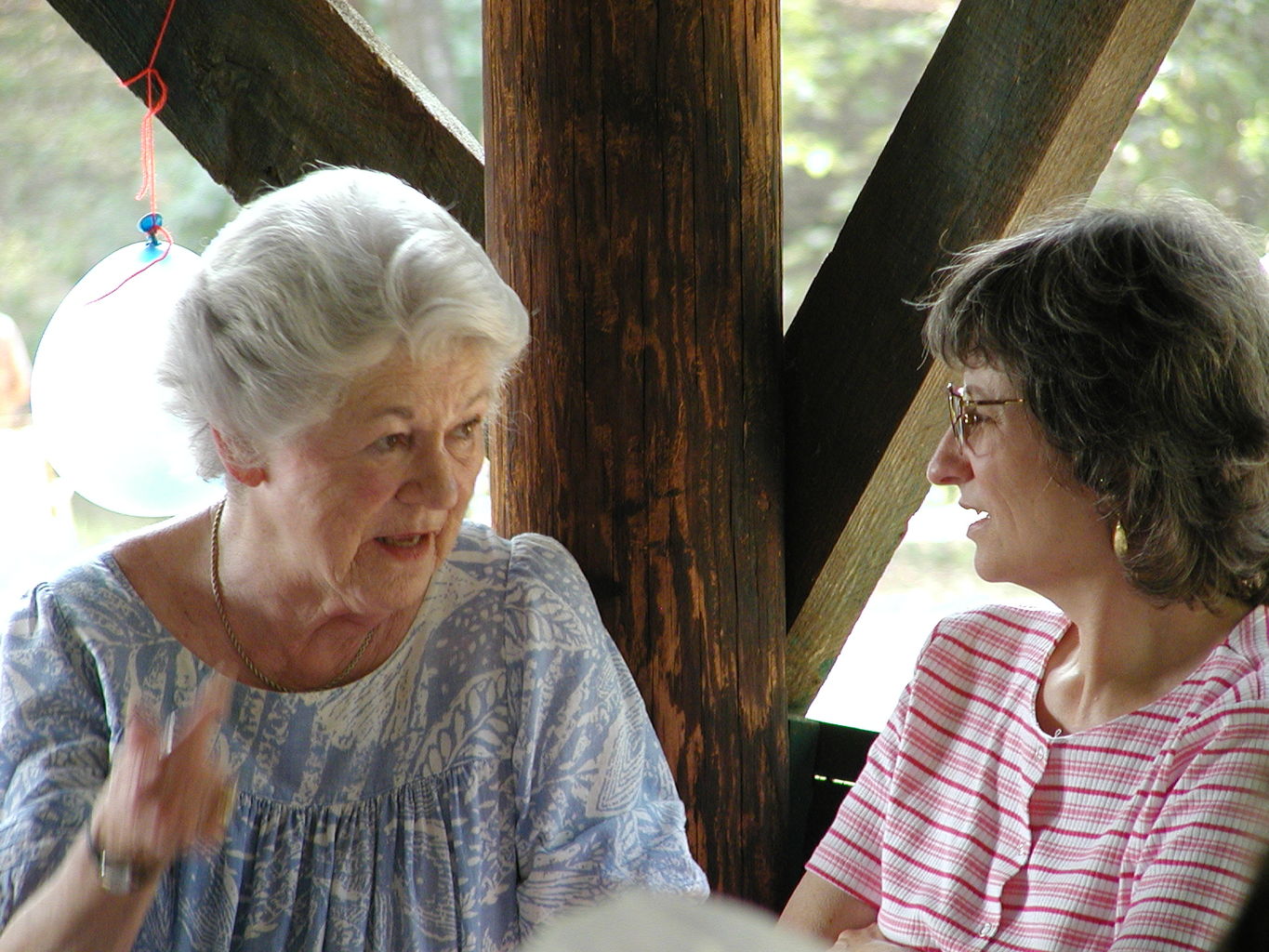 Jefferson Presbyterian July 4 Picnic

