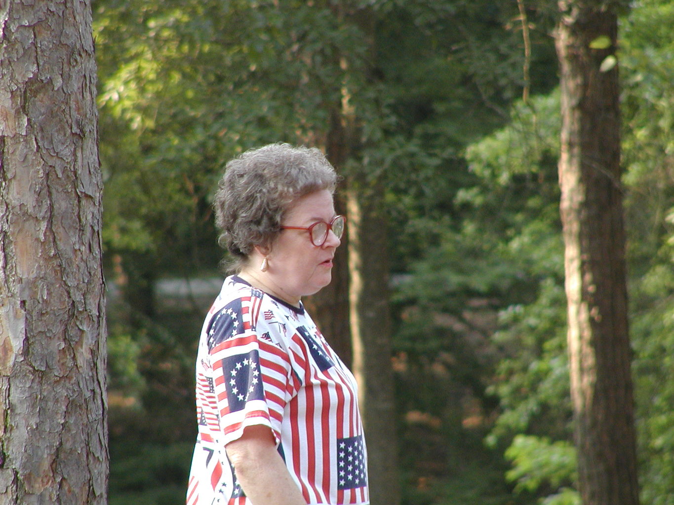 Jefferson Presbyterian July 4 Picnic
