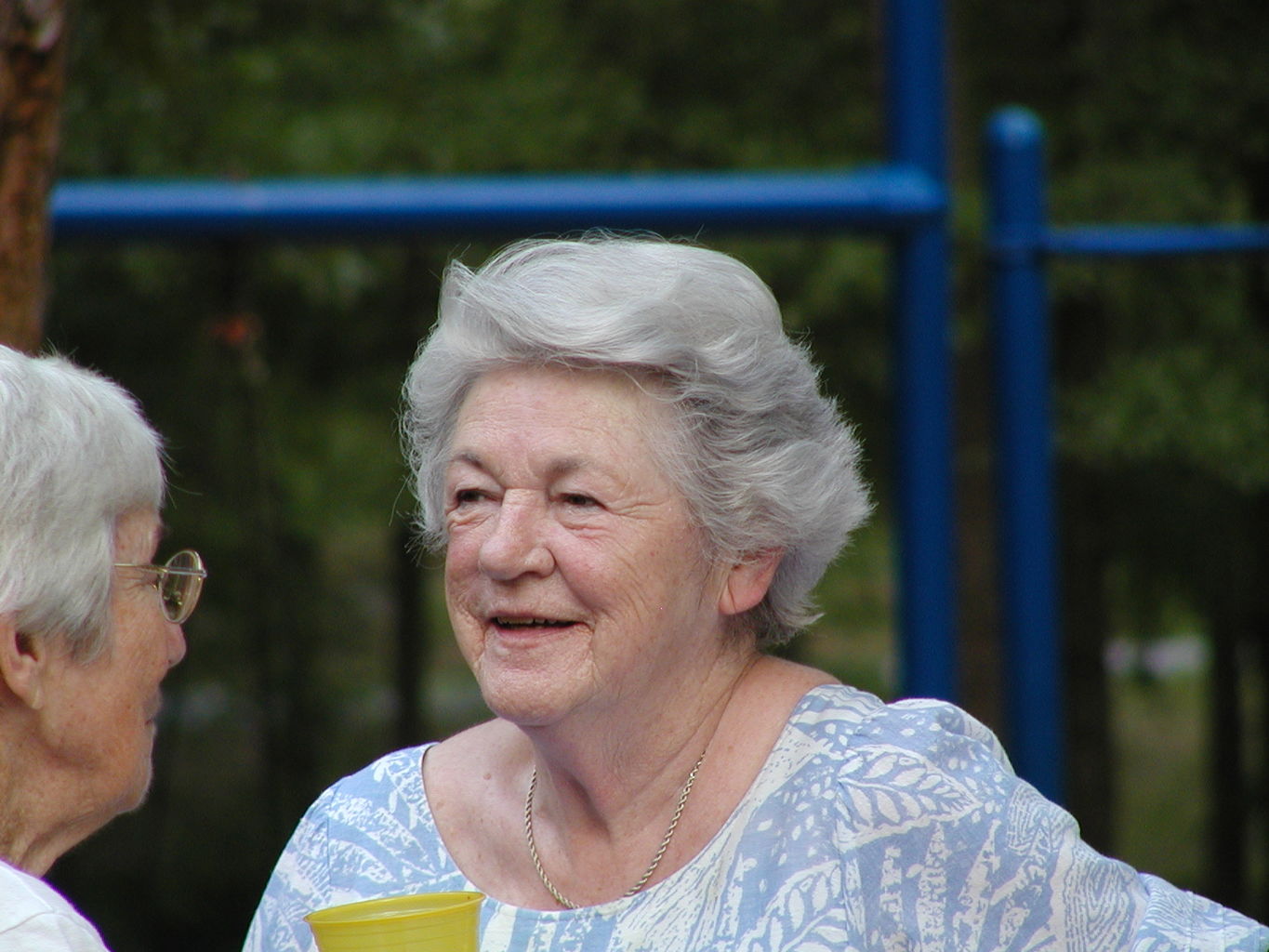 Jefferson Presbyterian July 4 Picnic
