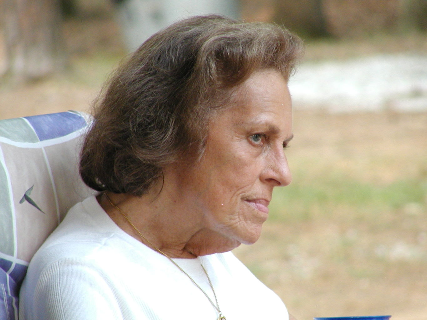 Jefferson Presbyterian July 4 Picnic
