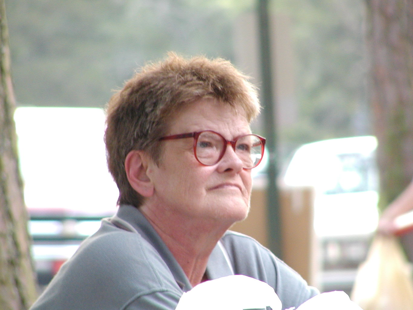 Jefferson Presbyterian July 4 Picnic
