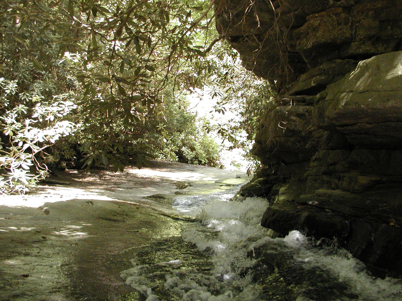 Panther Creek Park
