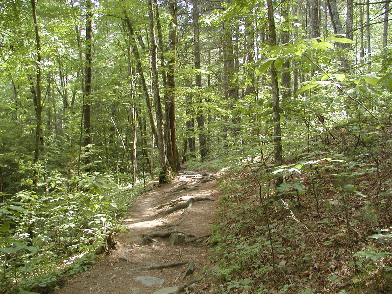 Panther Creek Park
