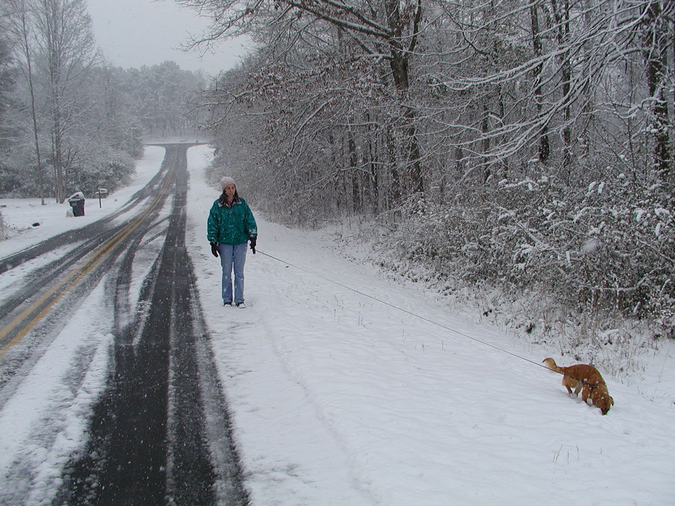 Snowstorm of 2002
