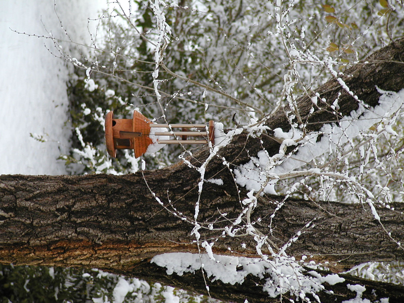 Snowstorm of 2002
