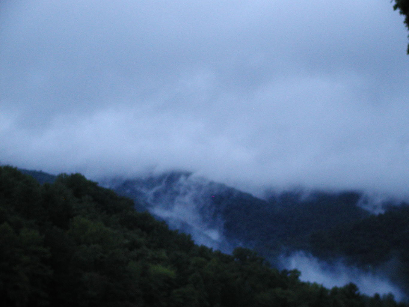 Vogel State Park
