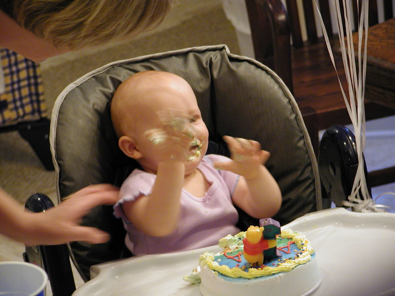 Anna Parker's First Birthday
