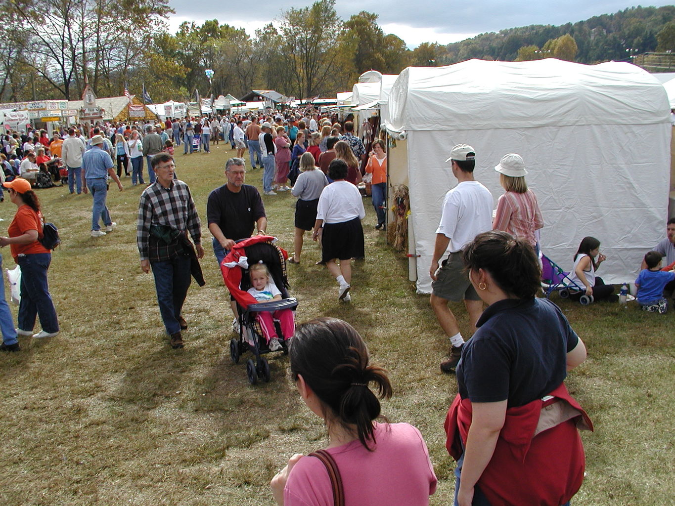 Georgia Apple Fest 2003
