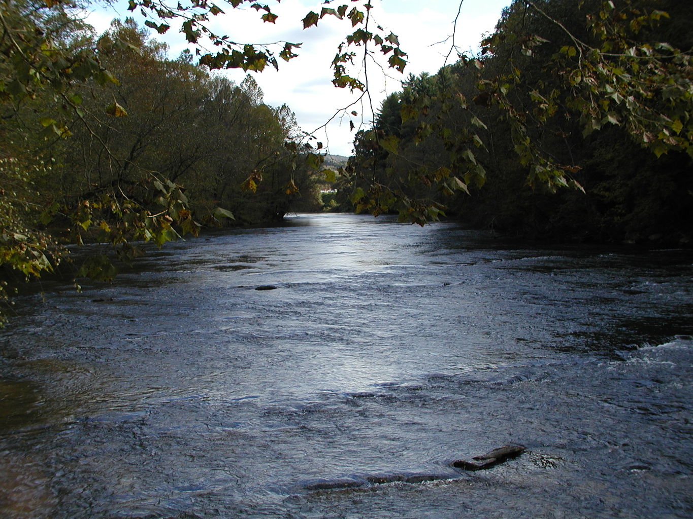 Georgia Apple Fest 2003
