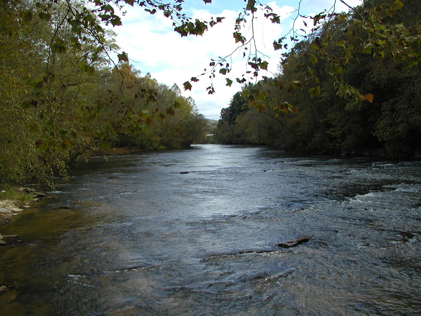 Georgia Apple Fest 2003
