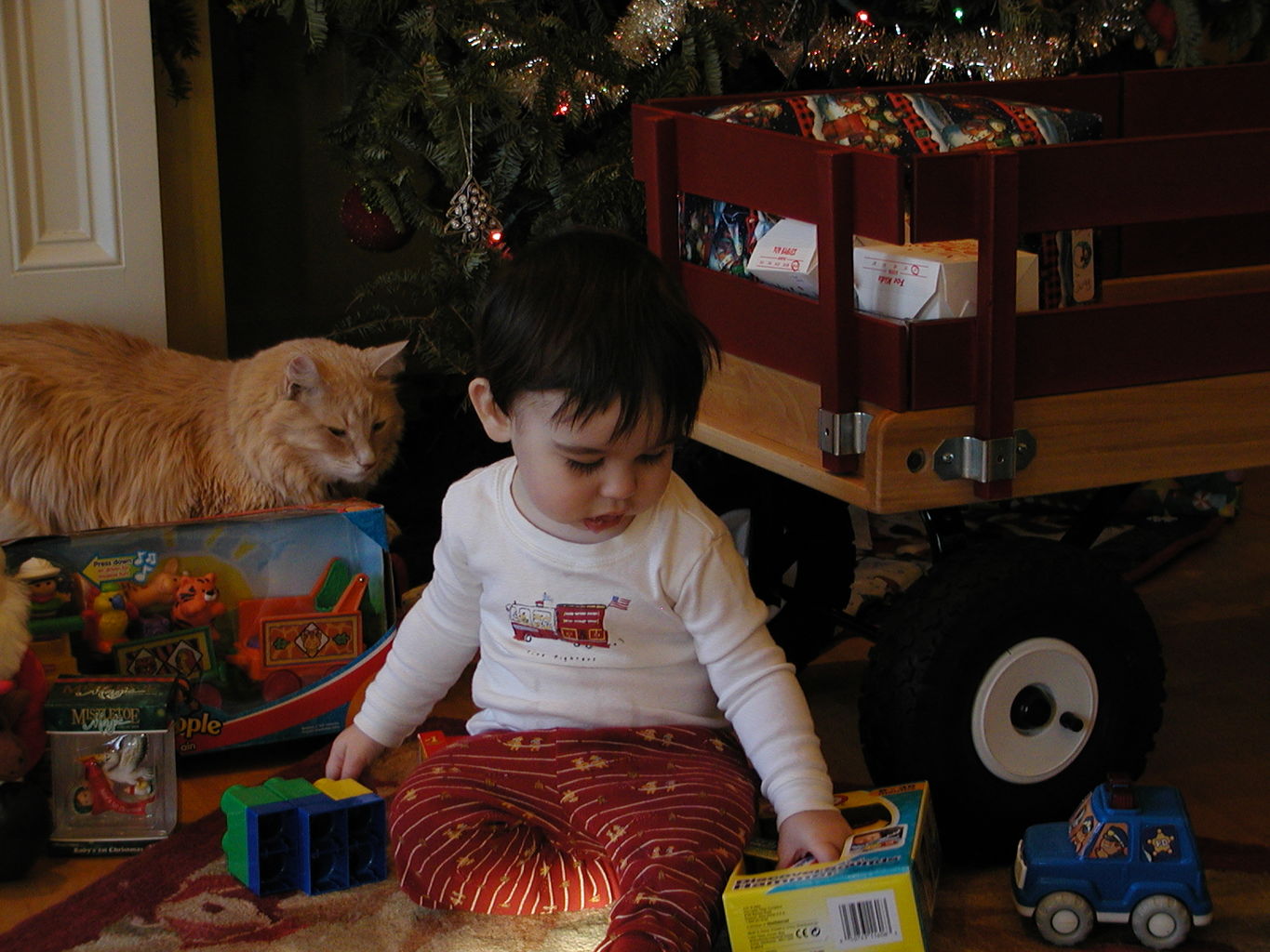 Christmas 2003
