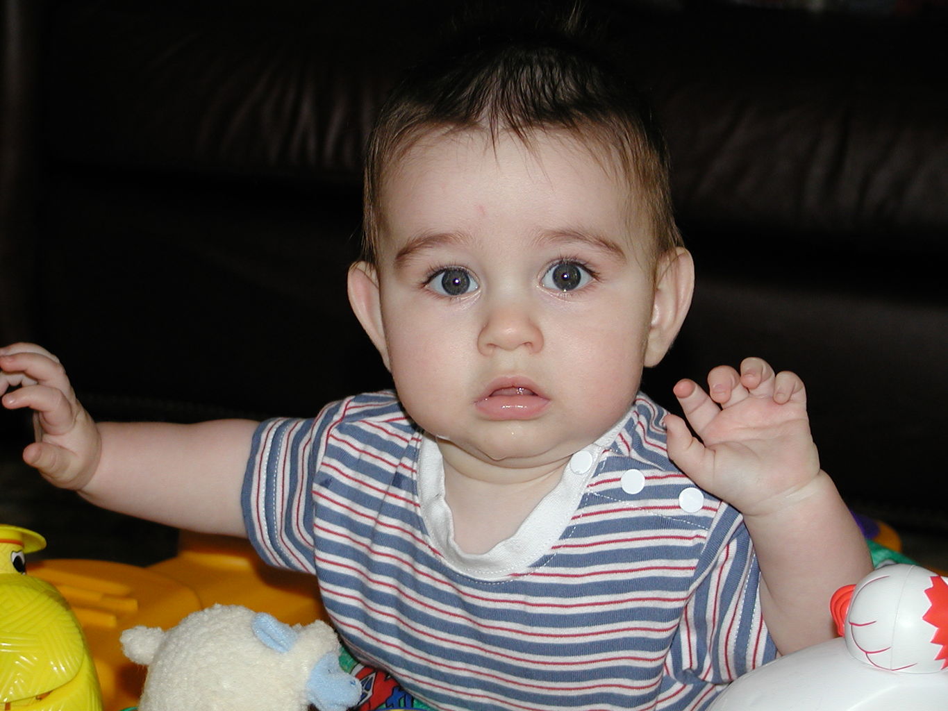 Pictures of James, April 2003
