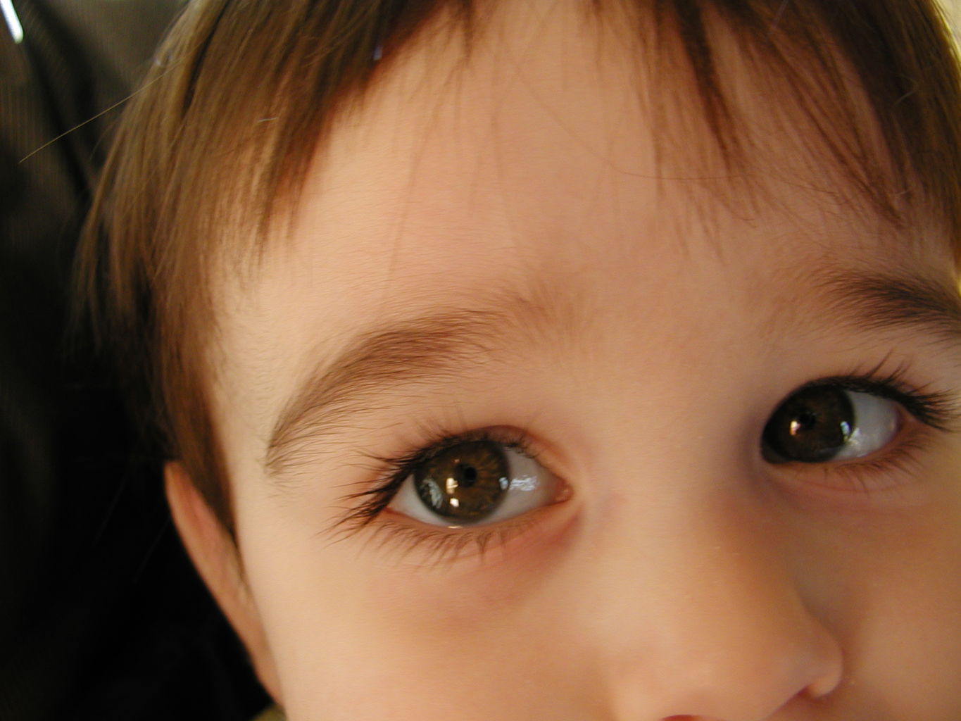 Pictures of James, December 2003
