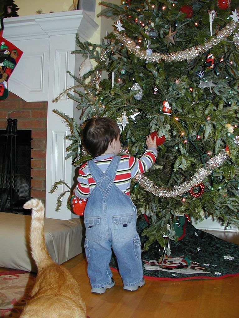 Pictures of James, December 2003
