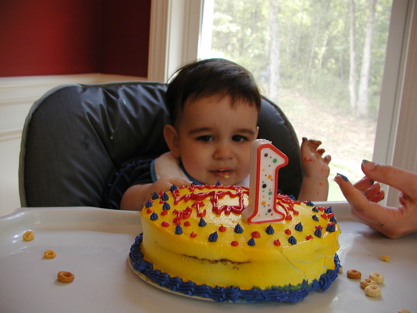 James First Birthday
