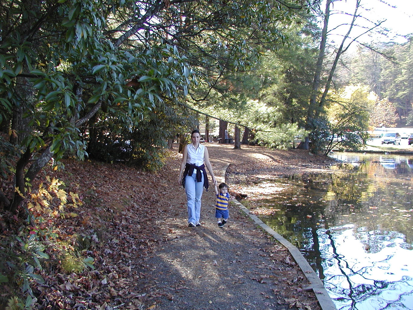 Visit to a Park in N GA Mountains
