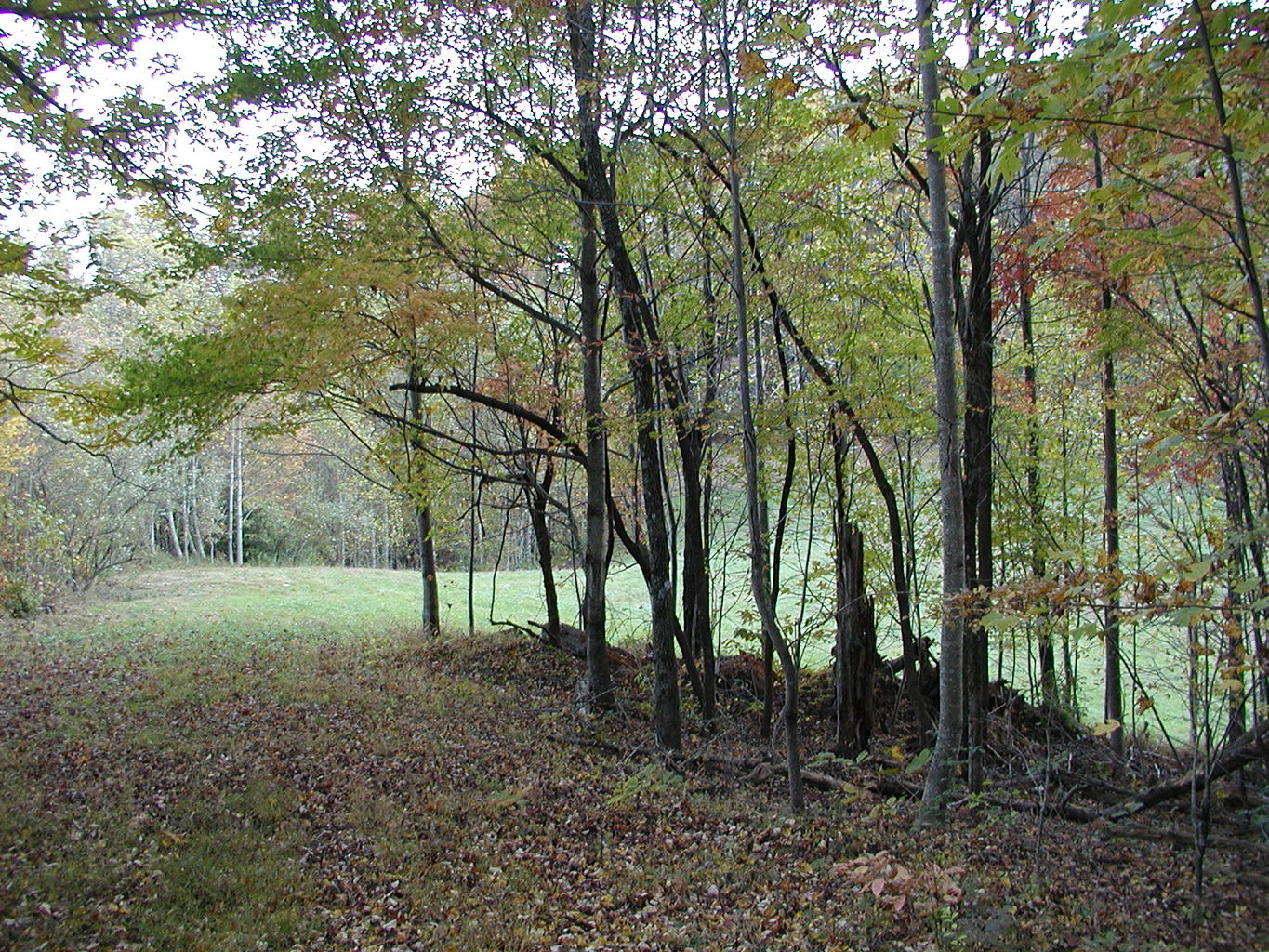 Pictures of North Georgia Mountains
