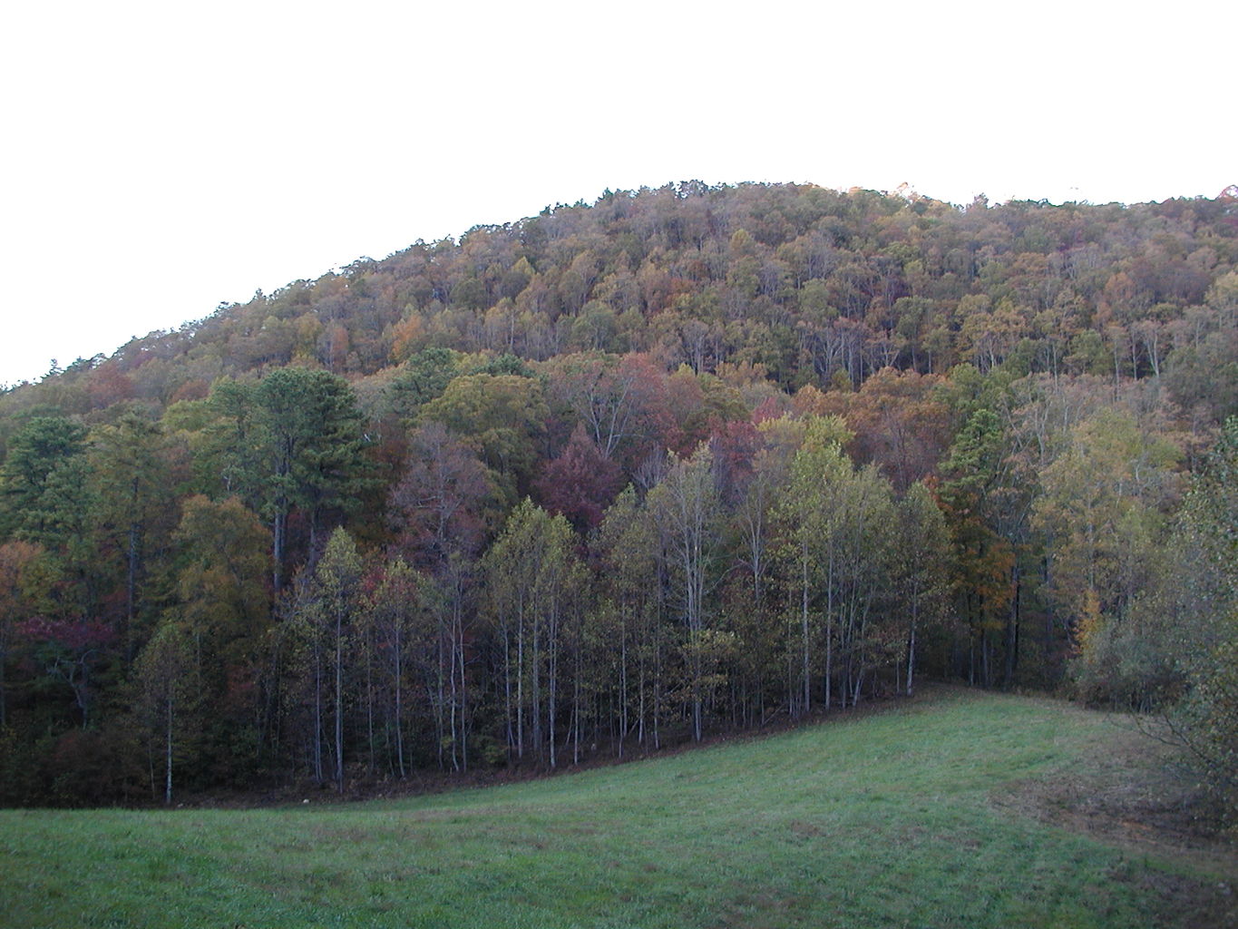 Pictures of North Georgia Mountains
