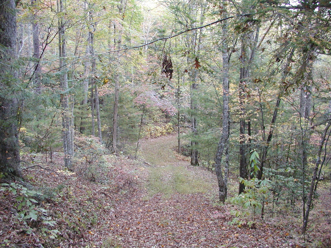 Pictures of North Georgia Mountains
