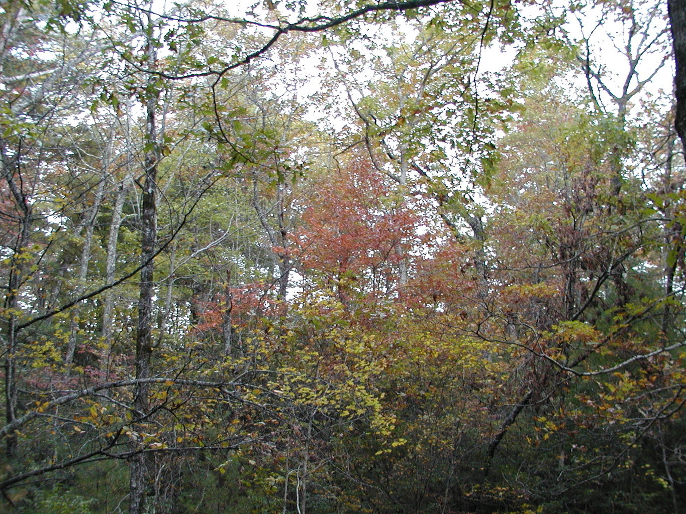 Pictures of North Georgia Mountains
