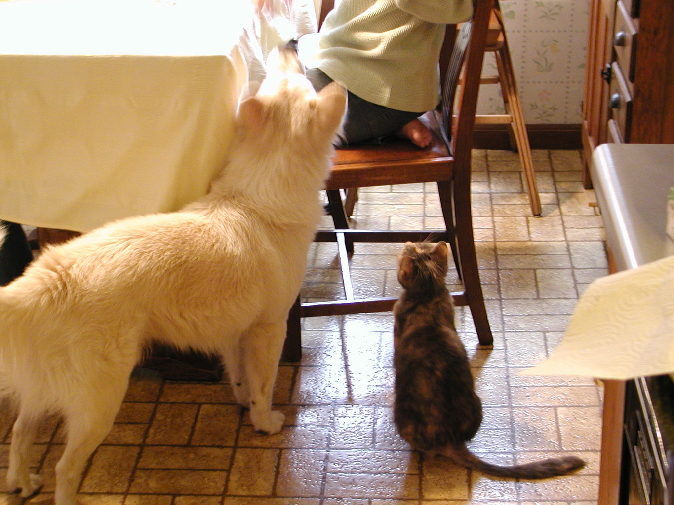 Thanksgiving 2003
